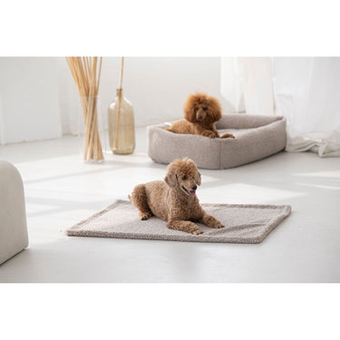 Hundfilt Teddy – Mjuk och mysig resedecke – Maul Ledermanufaktur