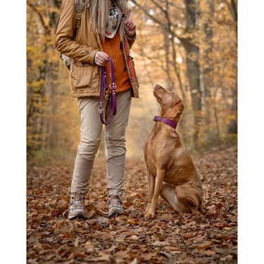 Hundhalsband läder Mono Pop 35 cm – Maul Ledermanufaktur
