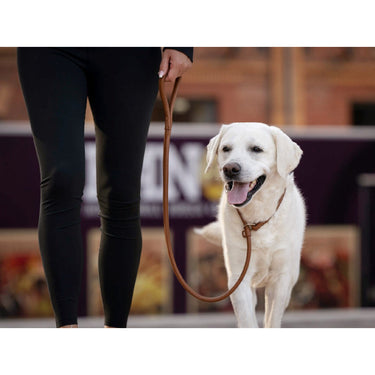Hundkoppel läder Retriever 160 cm – Maul Ledermanufaktur