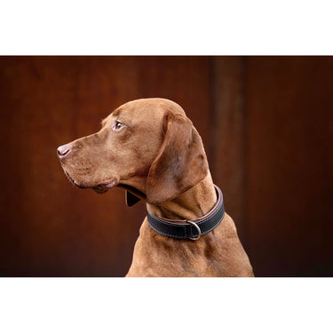 Hundhalsband läder Klassik 50 cm – Maul Ledermanufaktur