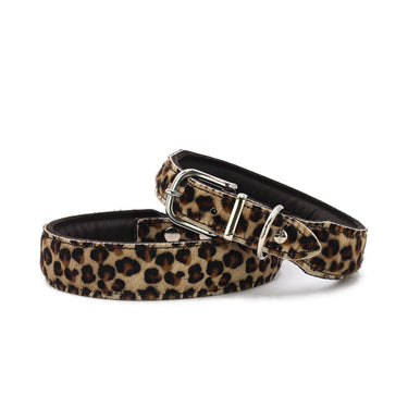 Hundhalsband läder Leopard – Maul Ledermanufaktur