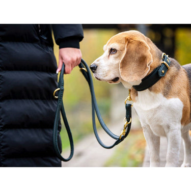 Hundkoppel läder Rundsytt 200 cm – Maul Ledermanufaktur
