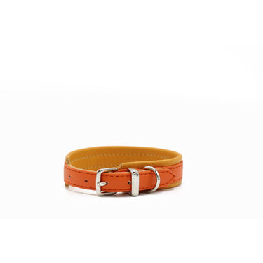 Hundhalsband läder Spring Break Mini – Mjukt Nappaläder – Maul Ledermanufaktur