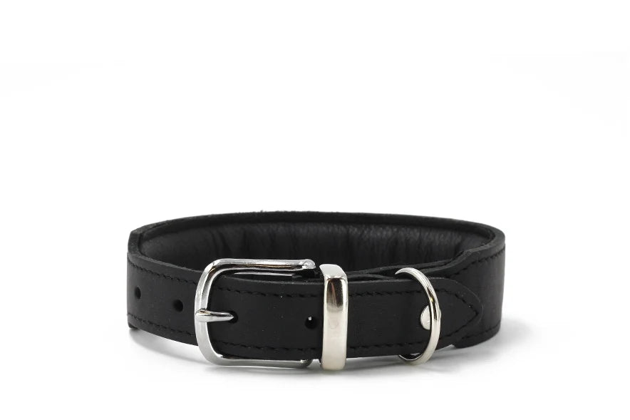 Hundhalsband läder läder läder Mono Pop – Maul Ledermanufaktur