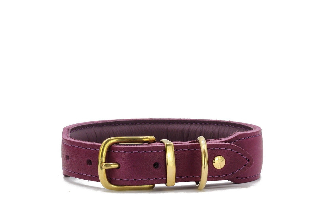 Hundhalsband läder läder läder Mono Pop – Maul Ledermanufaktur