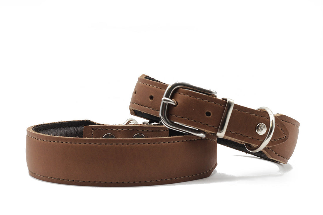 Hundhalsband läder läder läder Mono Pop – Maul Ledermanufaktur