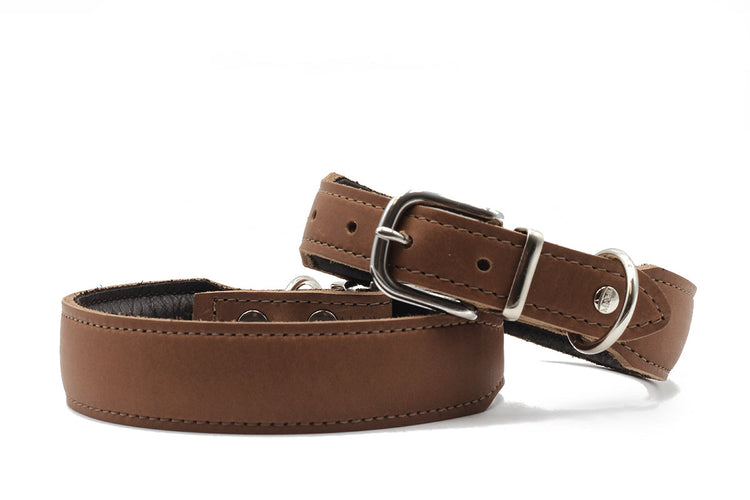Dog Collar Leather Leather Leather Mono Pop – Maul Ledermanufaktur