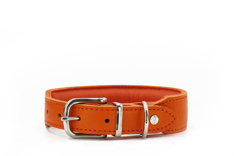 Dog Collar Leather Leather Leather Mono Pop – Maul Ledermanufaktur