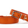 Hundhalsband läder läder läder Mono Pop – Maul Ledermanufaktur