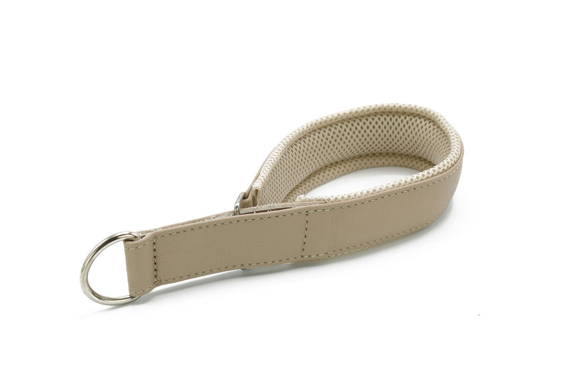 Hundhalsband läder Active – Maul Ledermanufaktur