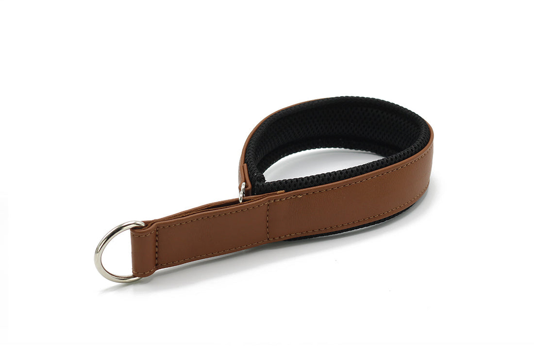 Hundhalsband läder Active – Maul Ledermanufaktur