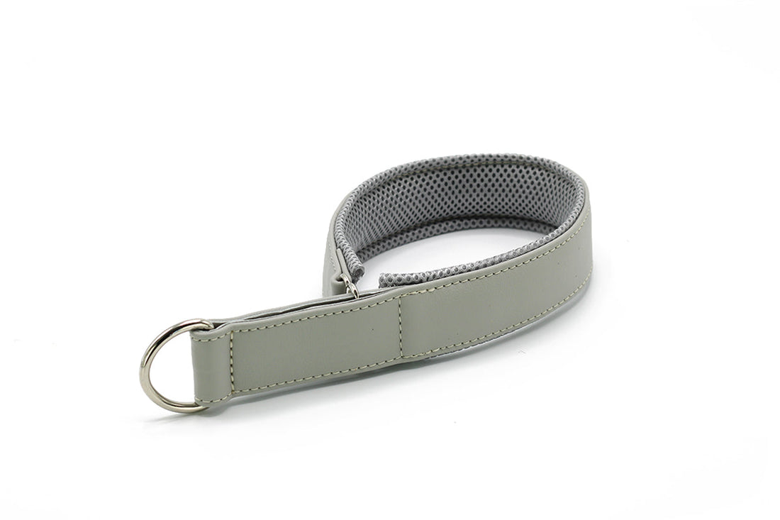 Hundhalsband läder Active – Maul Ledermanufaktur