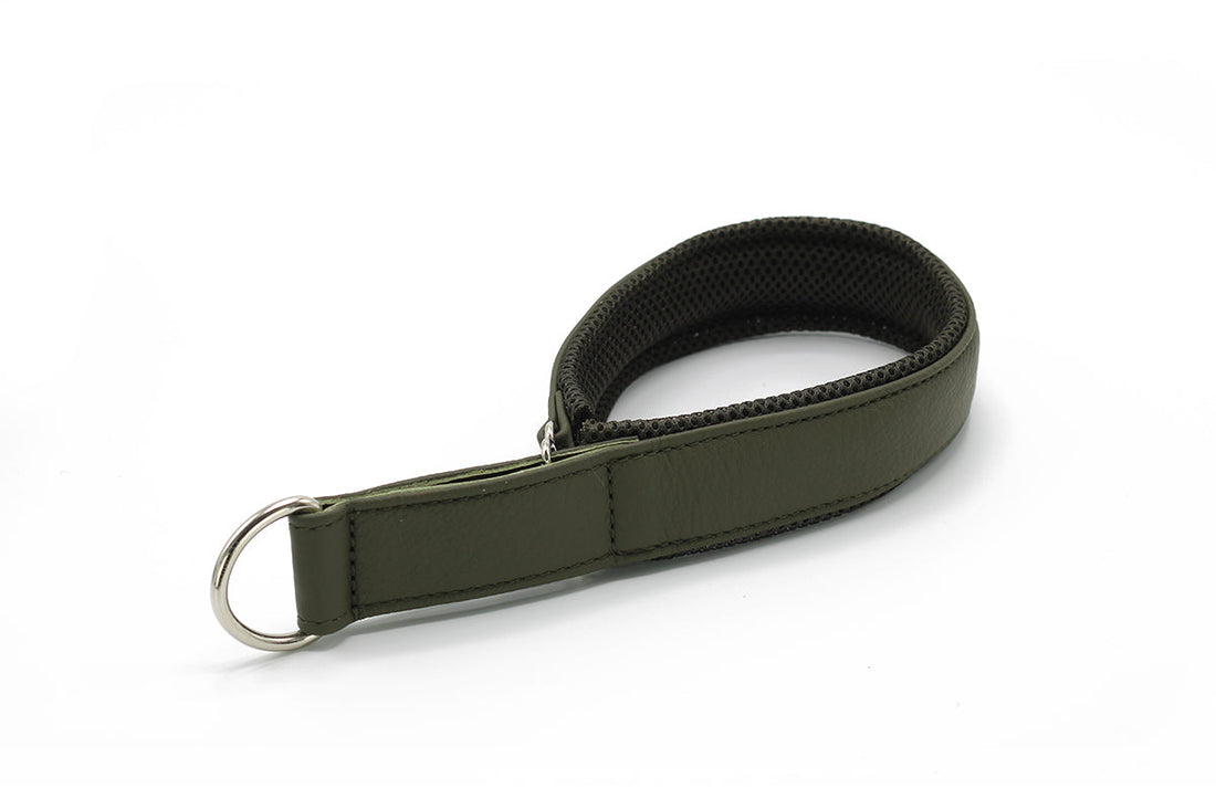 Hundhalsband läder Active – Maul Ledermanufaktur