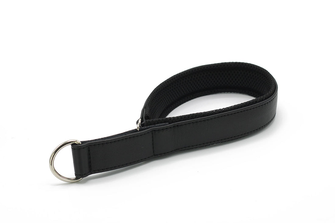 Hundhalsband läder Active – Maul Ledermanufaktur