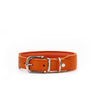 Hundhalsband läder Mono Pop – Maul Ledermanufaktur
