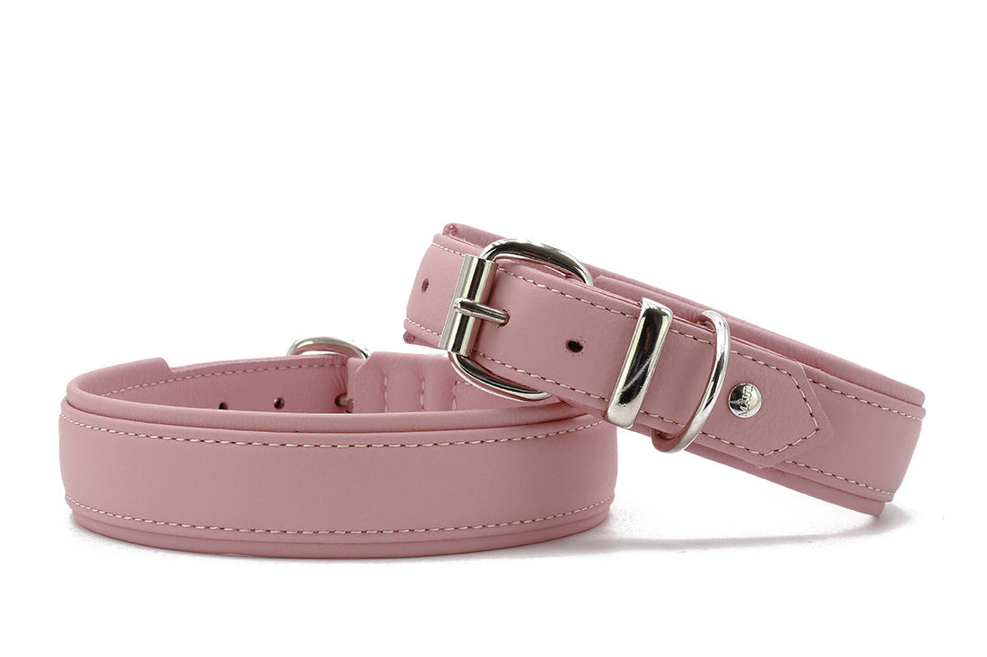 Halsband Klassik Soft - Holi Color