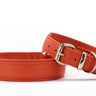 Halsband Klassik Soft - Holi Color