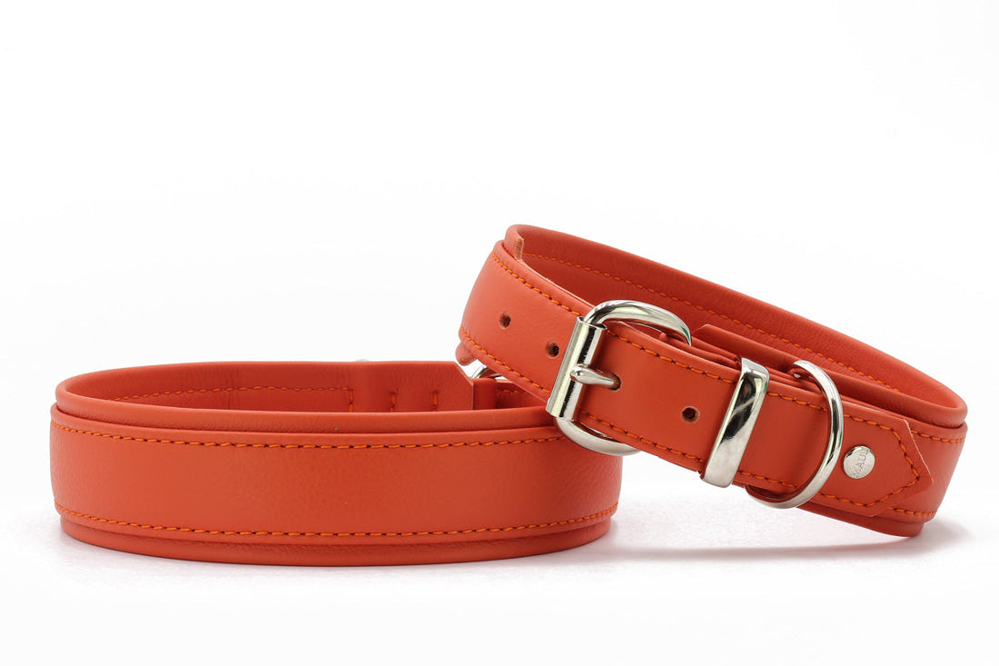 Halsband Klassik Soft - Holi Color