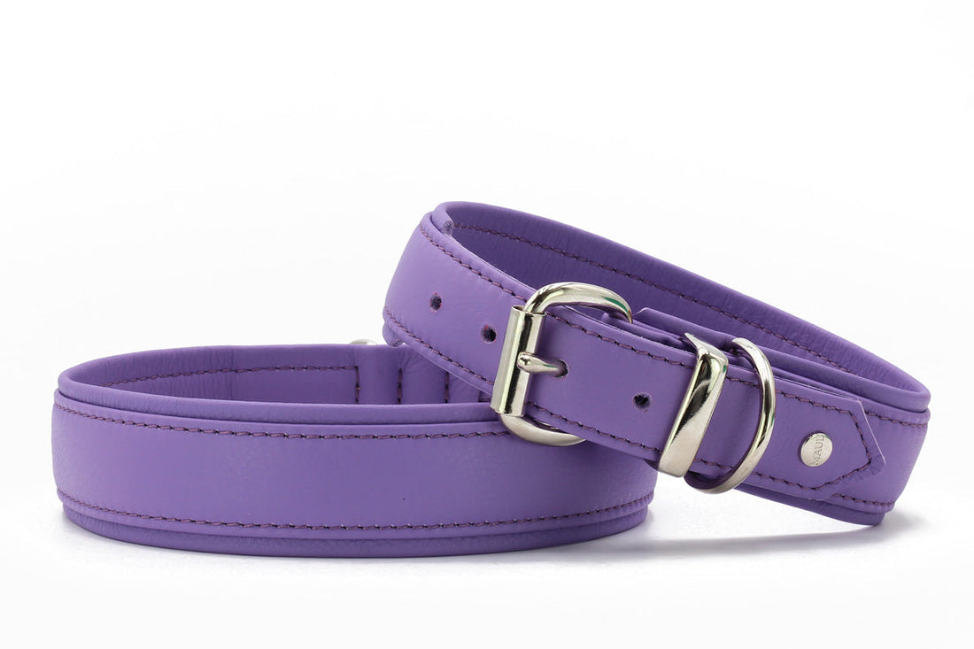 Halsband Klassik Soft - Holi Color