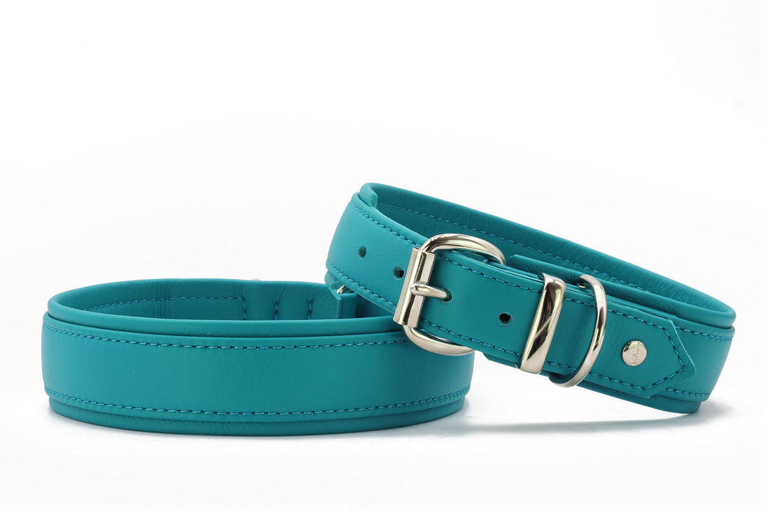 Halsband Klassik Soft - Holi Color