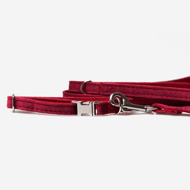 Hundkoppel Petit Soft Burgundy 180cm Don Lorino