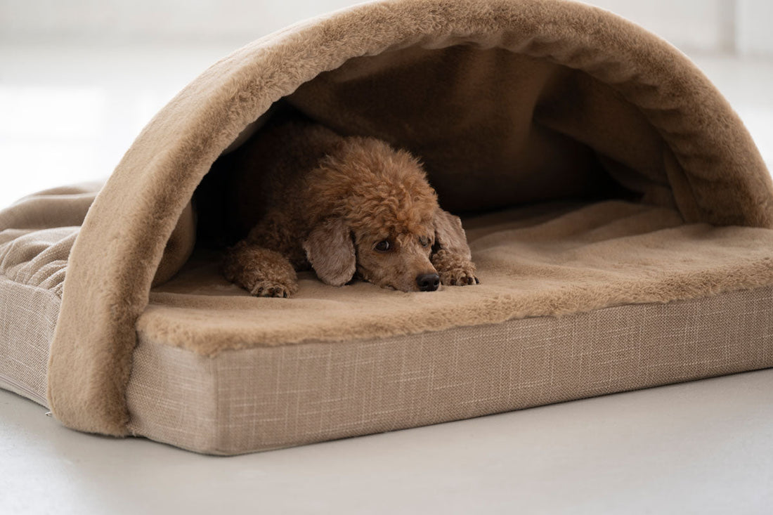 Hundkoja Relax – Maul Ledermanufaktur