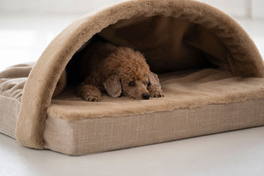 Hundkoja Relax – Maul Ledermanufaktur