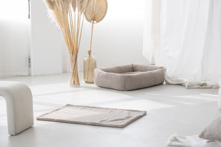 Dog Blanket Teddy – Maul Ledermanufaktur