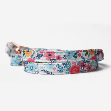 Dog leash Flower Meadow Bloom 
