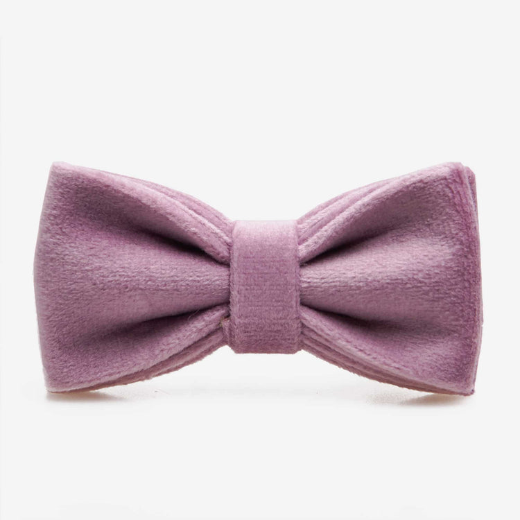 Fluga Petit Soft Lavendel Don Lorino