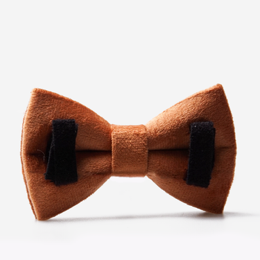 Fluga Click Soft Caramel