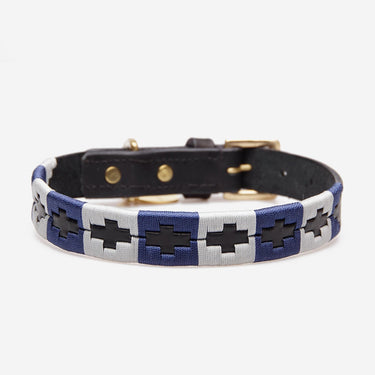 Hundhalsband Polo Blue Silver