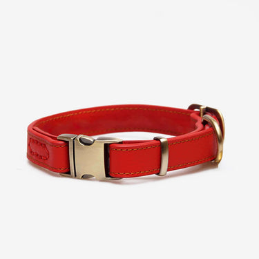 Hundhalsband Ace Red