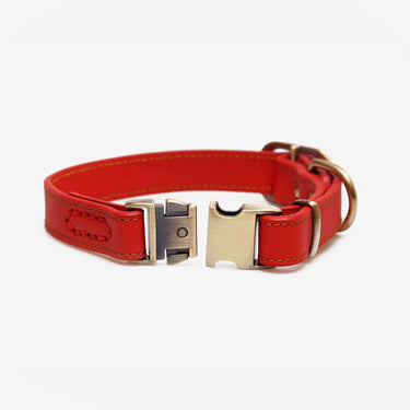 Hundhalsband Ace Red