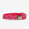 Hundhalsband Petit Pop Pink Don Lorino