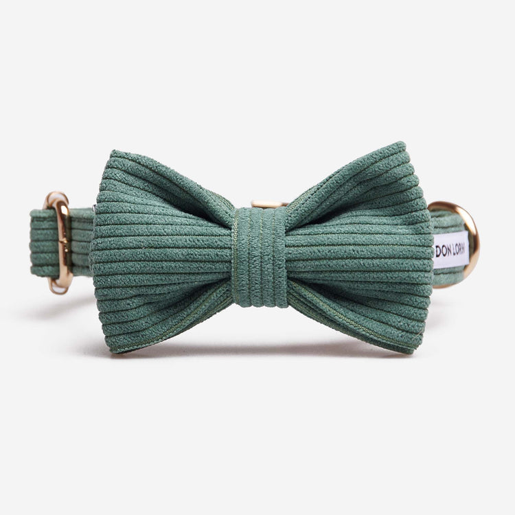 Hundhalsband Click Pop Green Don Lorino