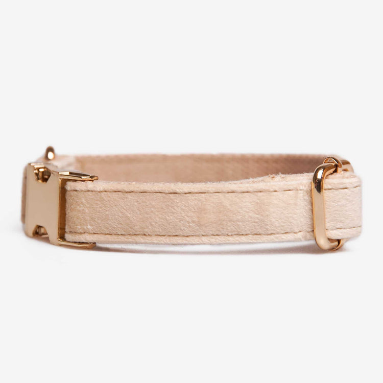 Hundhalsband Click Soft Champagne Don Lorino
