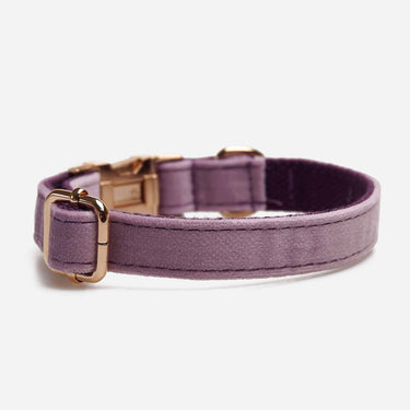 Hundhalsband Click Soft Lavendel