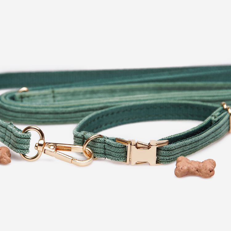 Hundhalsband Petit Pop Green Don Lorino