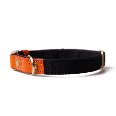 Hundhalsband Caz Black Don Lorino
