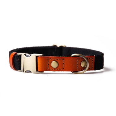Hundhalsband Caz Black Don Lorino