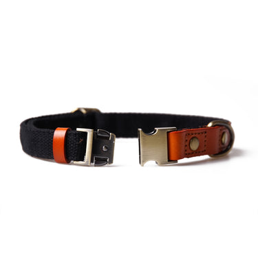 Hundhalsband Caz Black Don Lorino