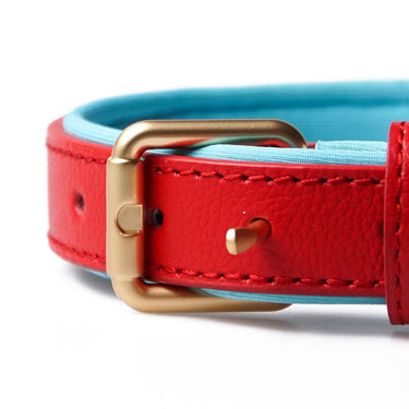 Hundhalsband Lou Red Blue med namnbricka Don Lorino