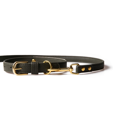 Dog Leash Neo Forest Green