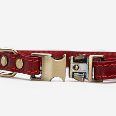Dog collar Riko Red