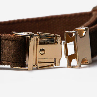 Hundhalsband Click Soft Brown Gold