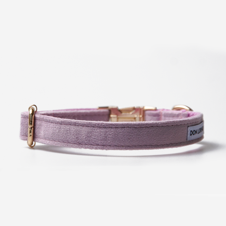Hundhalsband Click Soft Lilac