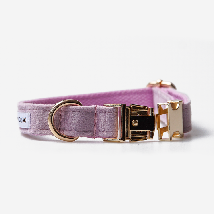 Hundhalsband Click Soft Lilac