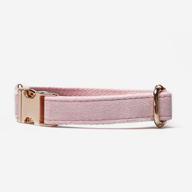 Hundhalsband Click Soft Pink