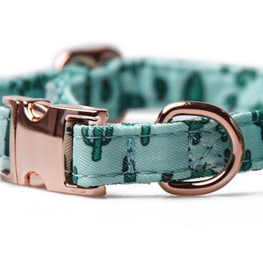 Hundhalsband Flower Cactus Mint